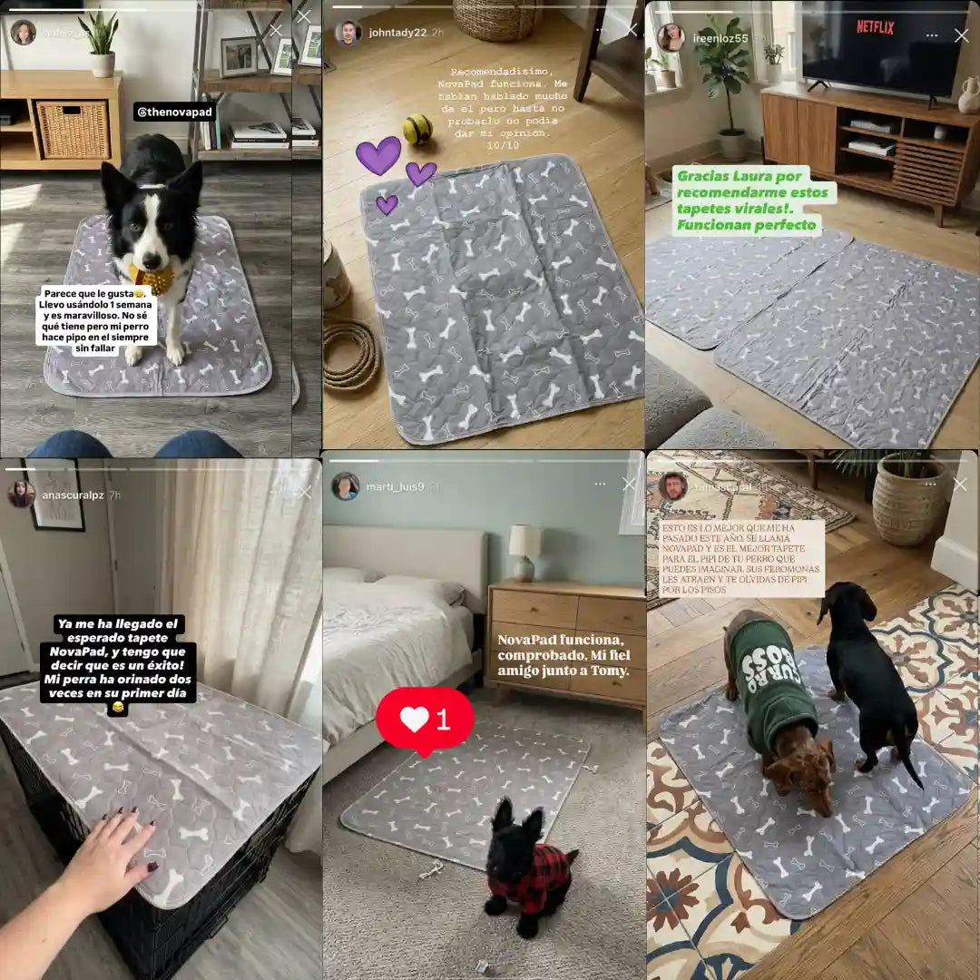 NovaPad™ Almohadilla Mascotas