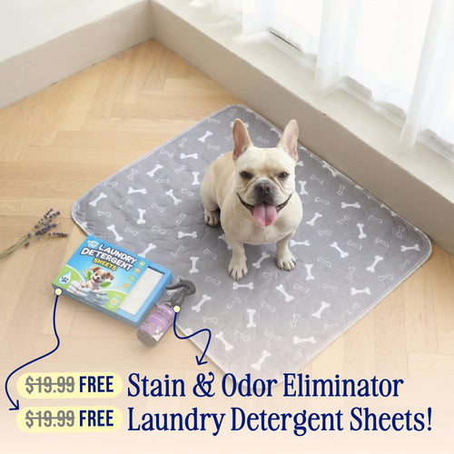 NovaPad™ Almohadilla Mascotas